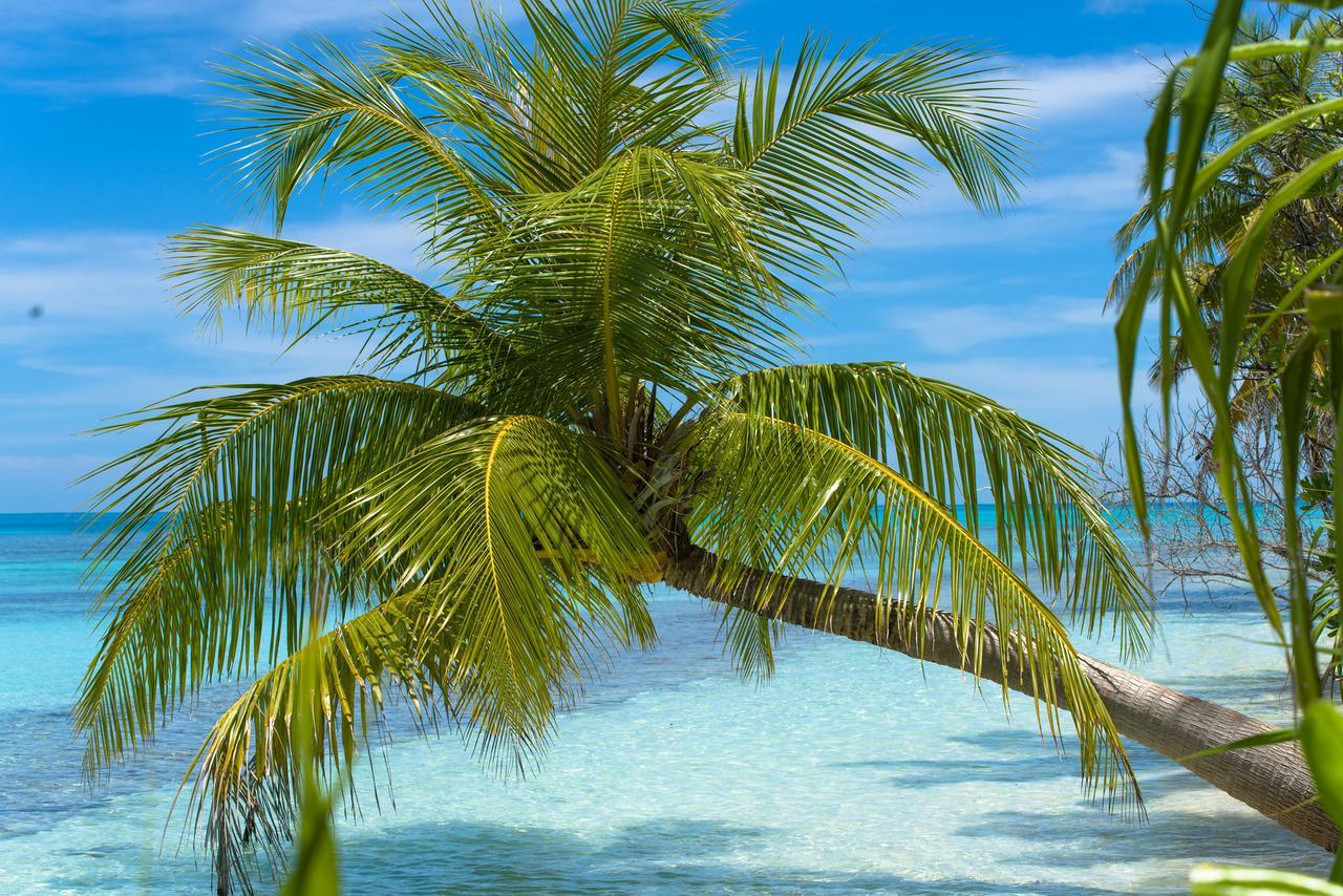 Dhiguveli Maldives Ξενοδοχείο Dhigurah  Εξωτερικό φωτογραφία