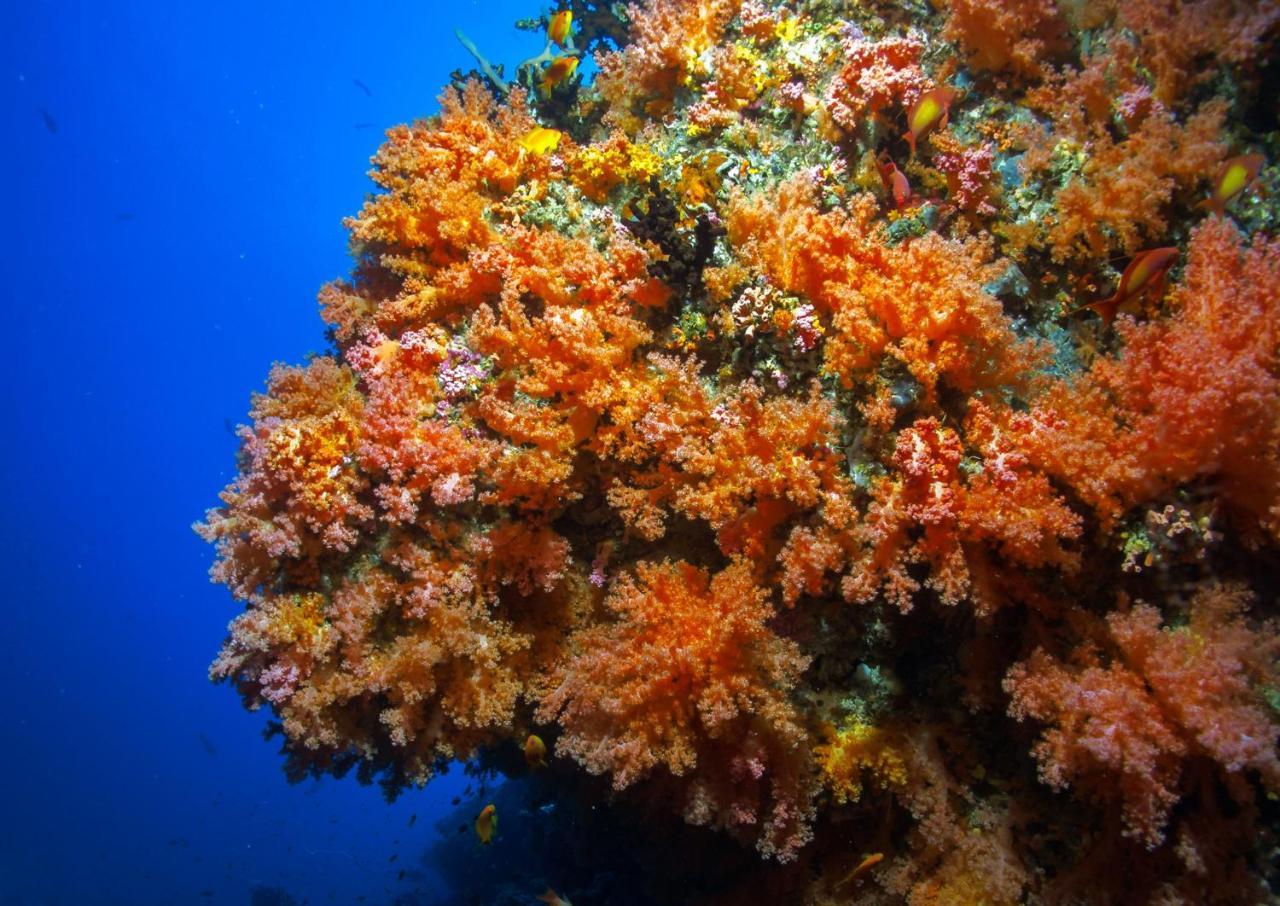 Dhiguveli Maldives Ξενοδοχείο Dhigurah  Εξωτερικό φωτογραφία